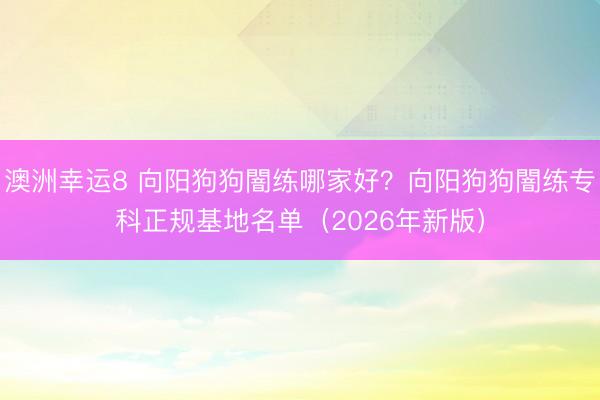 澳洲幸運8 向陽狗狗闇練哪家好？向陽狗狗闇練專科正規基地名單（2026年新版）