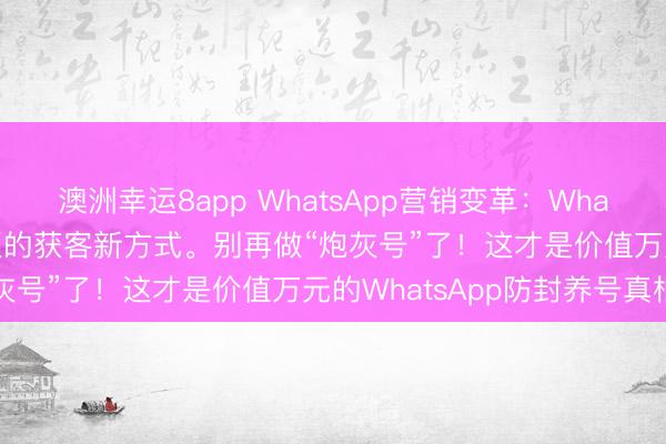 澳洲幸運8app WhatsApp營銷變革：WhatsApp磐石系統外貿老板的獲客新方式。別再做“炮灰號”了！這才是價值萬元的WhatsApp防封養號真相