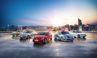 一站式互聯(lián)網(wǎng)汽車服務(wù)連鎖品牌 御車無(wú)憂